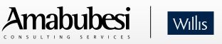 amamubesi-willis-logo.jpg